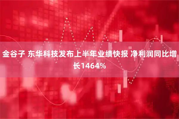 金谷子 东华科技发布上半年业绩快报 净利润同比增长1464%
