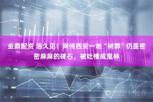 金鼎配资 活久见！网传西安一地“树葬”仍是密密麻麻的碑石，被吐槽成鬼林