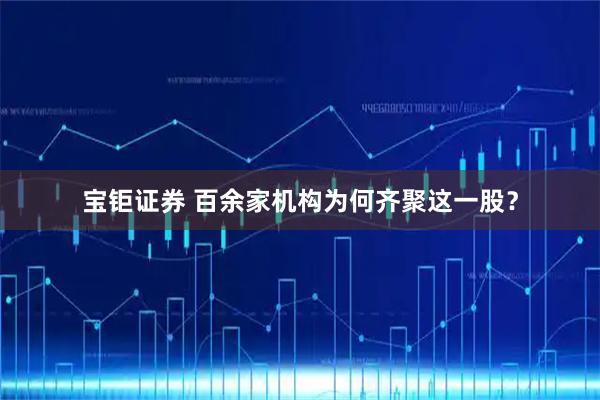 宝钜证券 百余家机构为何齐聚这一股？